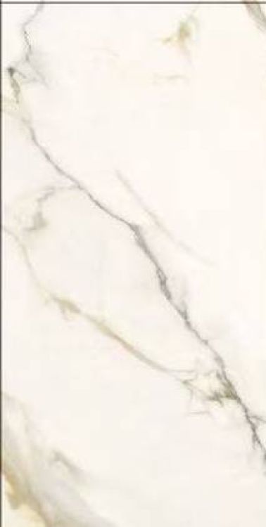 Time Dorado Matte 12 x 24